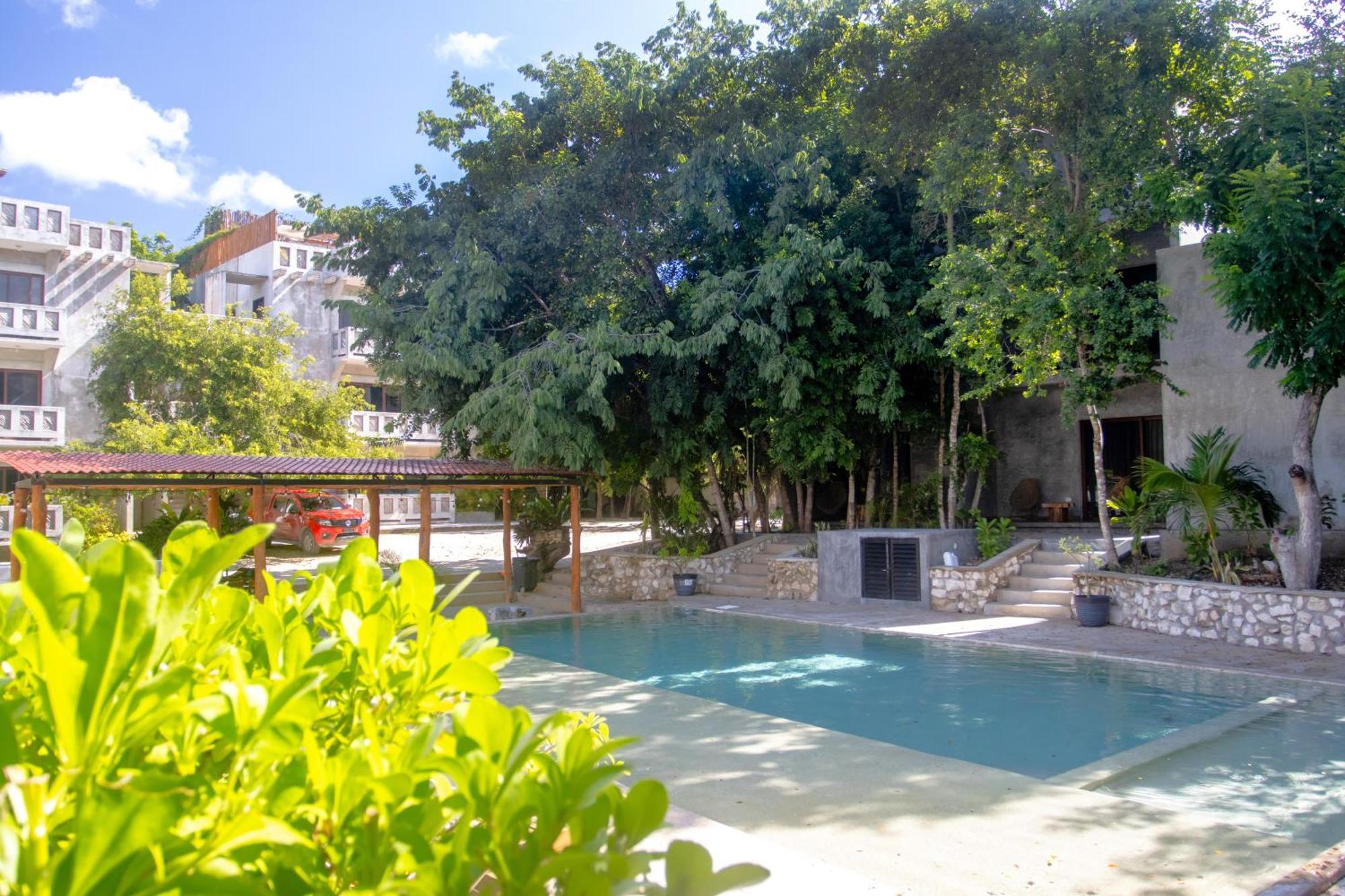 Hotel Casa Tortuga Tulum - Cenotes Park Inclusive Exteriör bild The swimming pool at the hotel