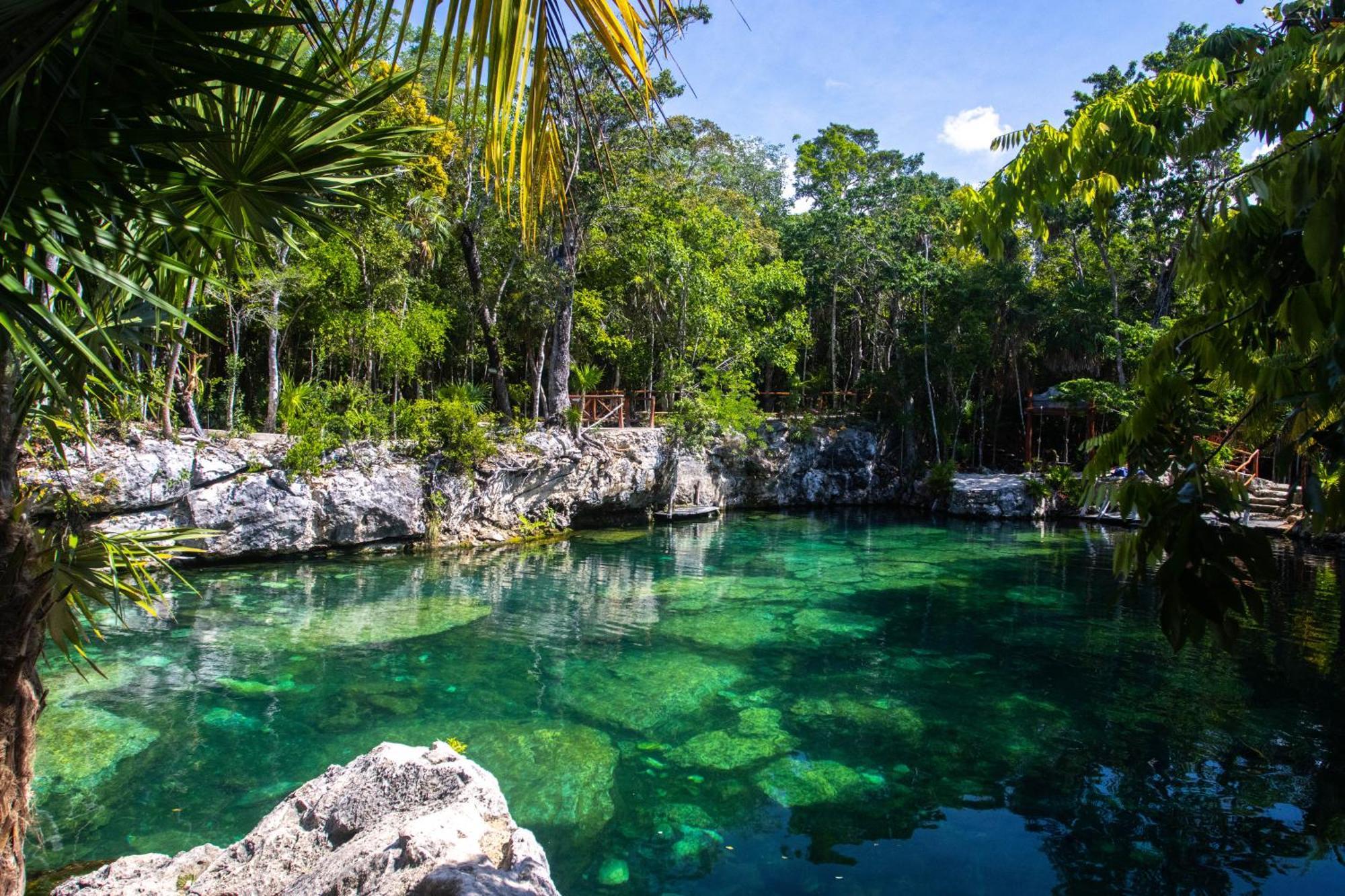 Hotel Casa Tortuga Tulum - Cenotes Park Inclusive Exteriör bild Cenote in Yucatán