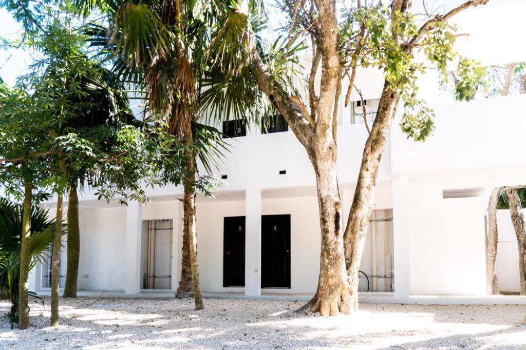 Hotel Casa Tortuga Tulum - Cenotes Park Inclusive Exteriör bild The house of the writer, in Mérida, Yucatán.
